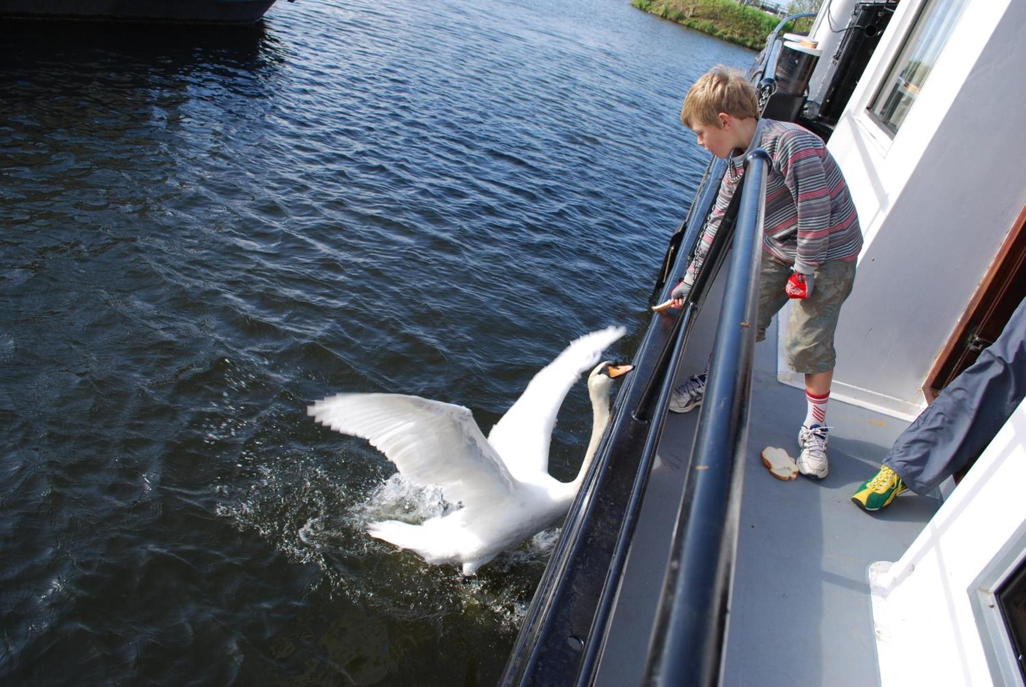 Hotelboot Zwaan Amsterdam Bagian luar foto